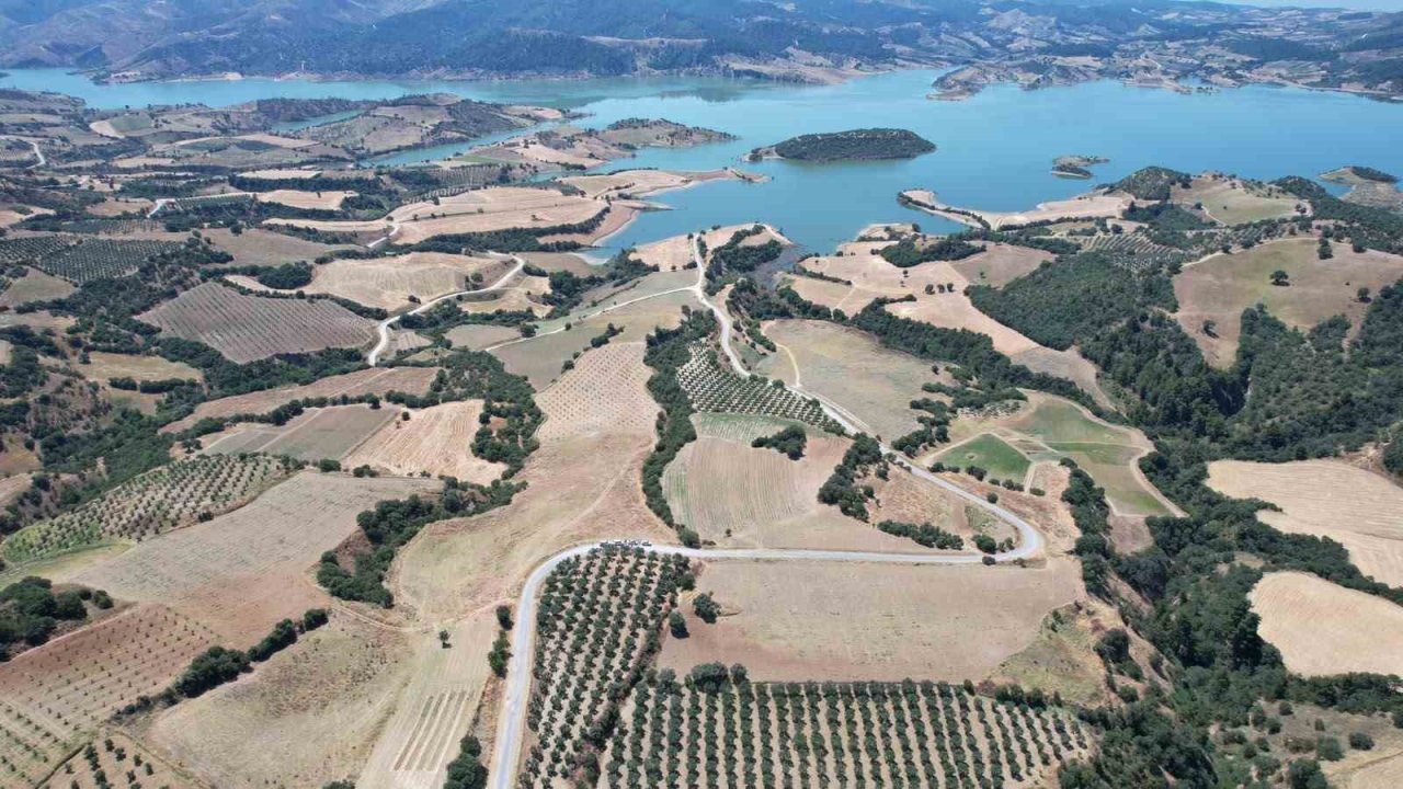 Baraj çevresi bal ormanına dönüşüyor
