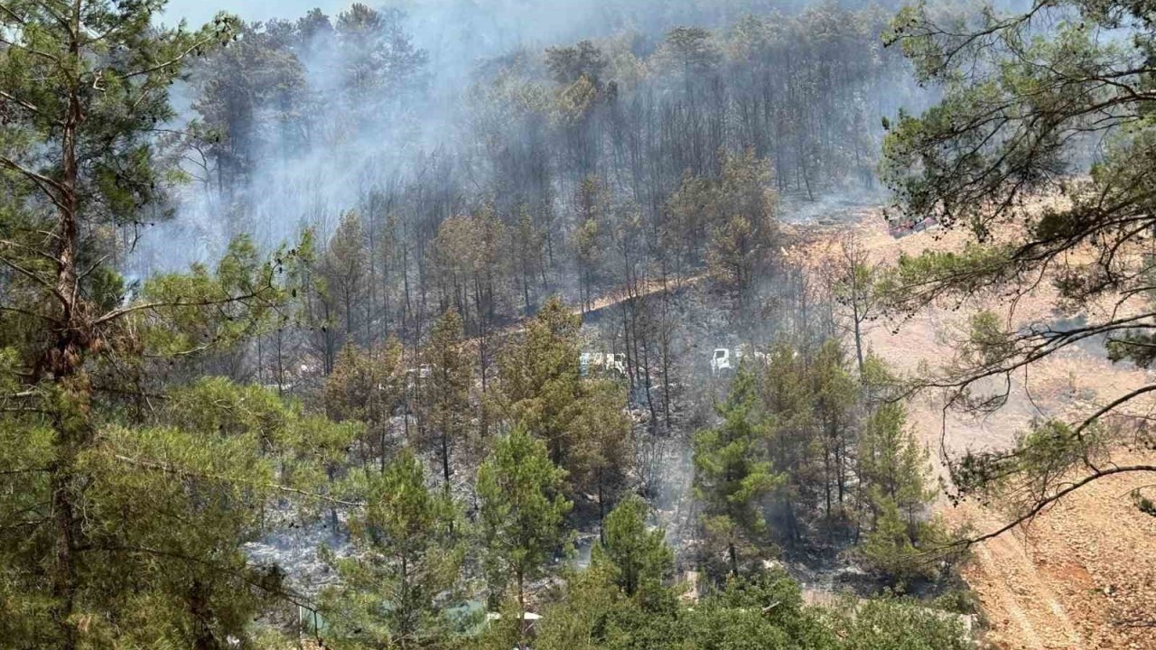 Fethiye’de orman yangınını söndürme çalışmaları sürüyor