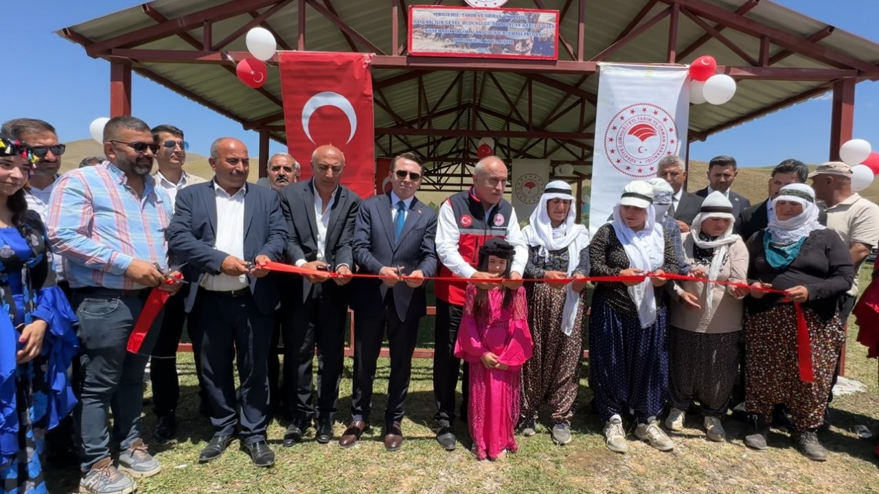 Yüksekova’da berivanlar gölgeliğe kavuştu