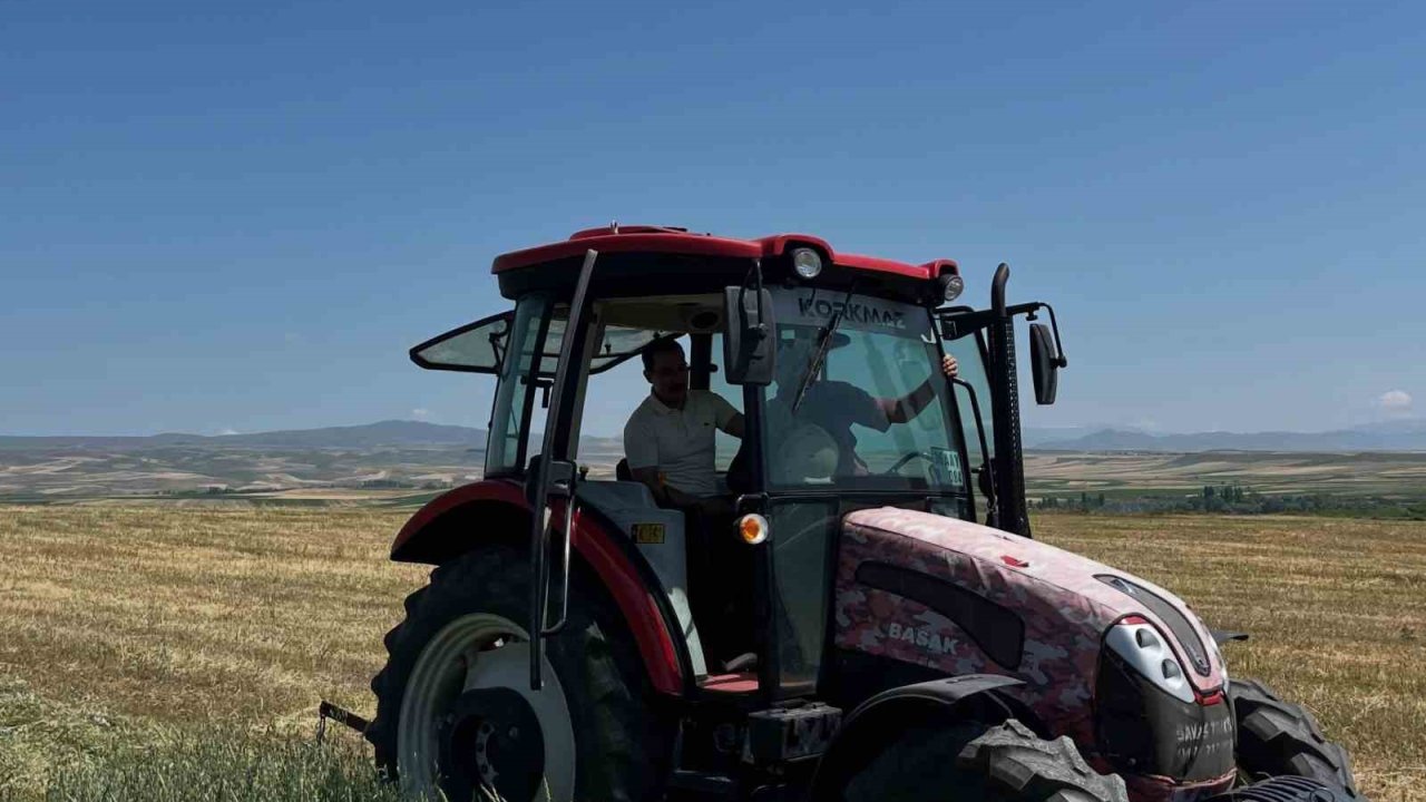 Akyaka Kaymakamı İsmail Demirtaş çiftçilerle hasat yaptı
