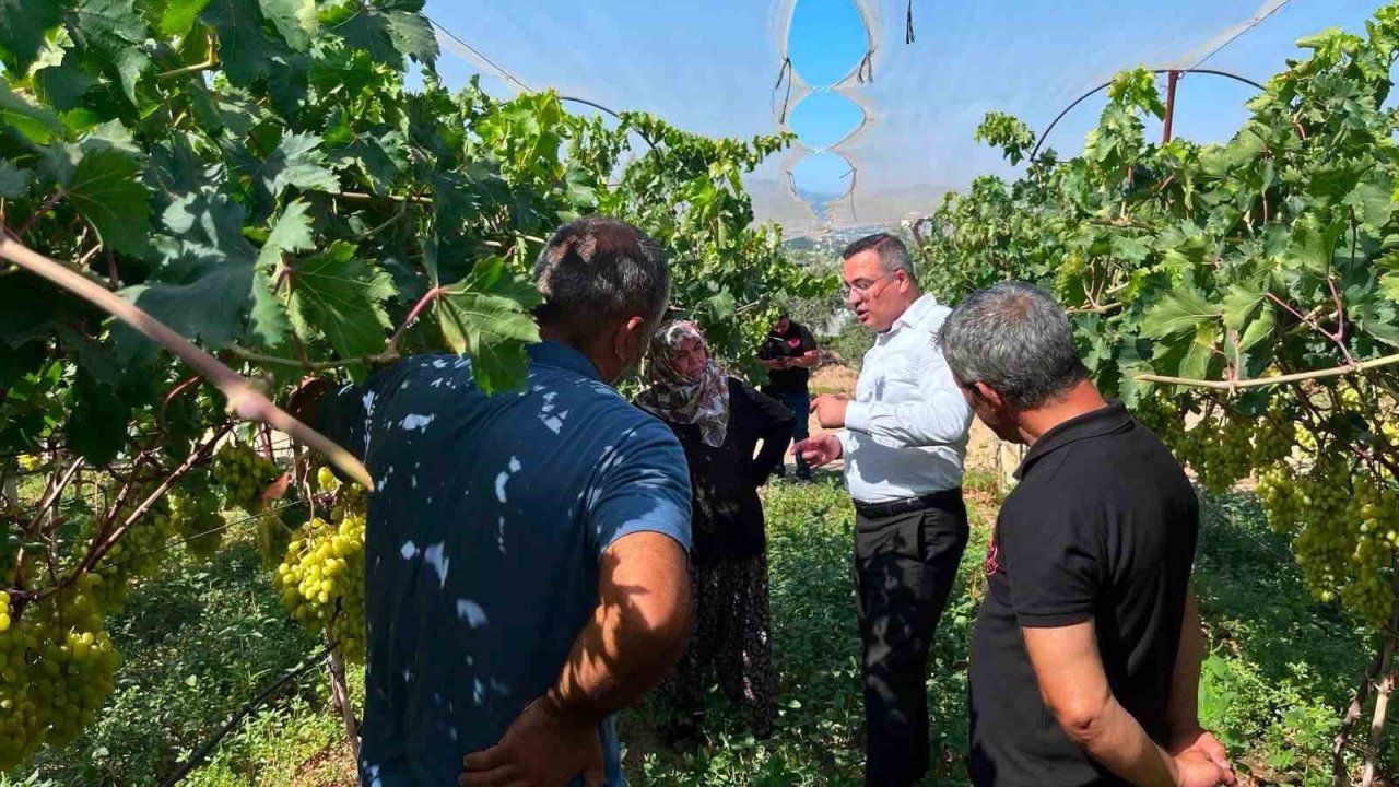 Kaymakam Dalak’tan üzüm üreticisine moral ziyareti