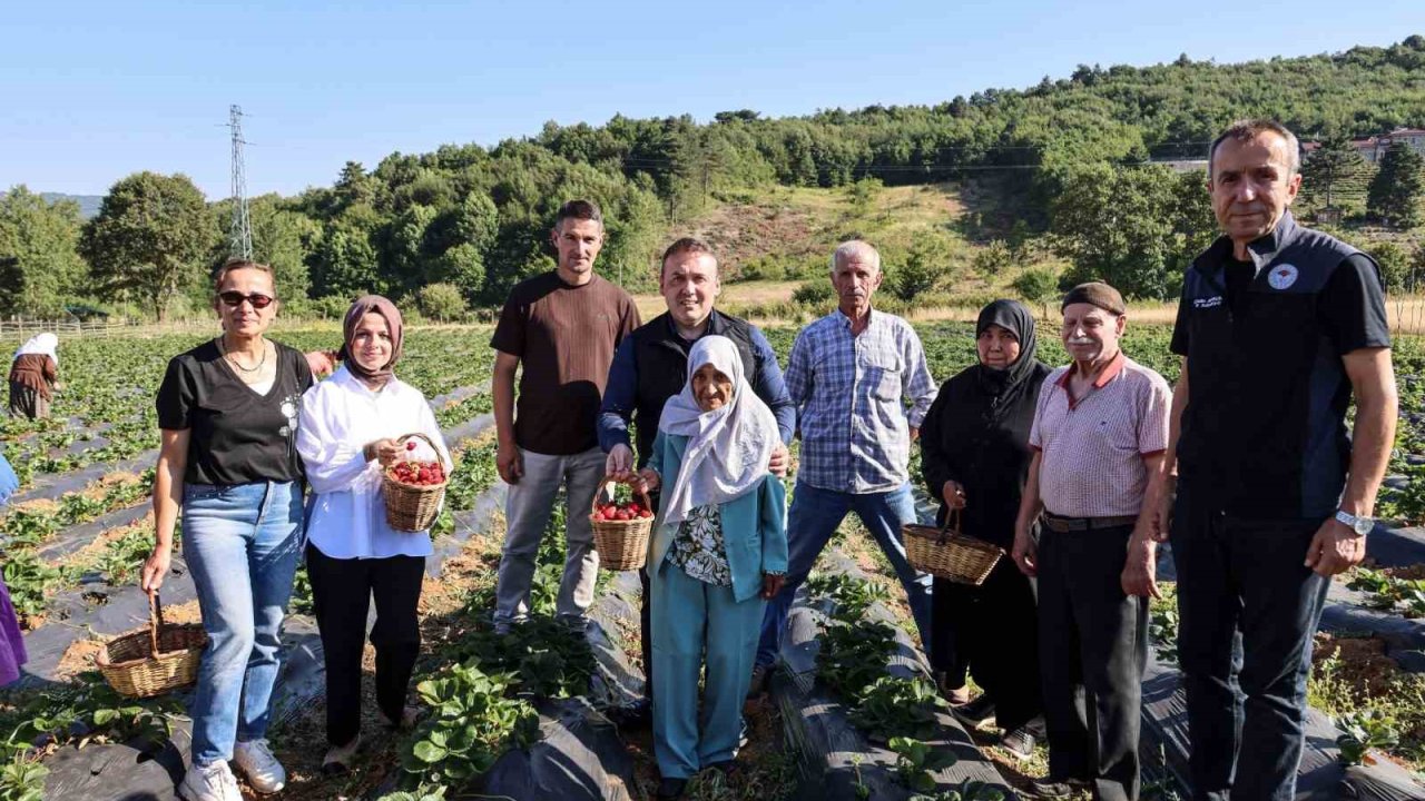 Vali Sözer, huzurevi sakinleriyle çilek hasadı yaptı