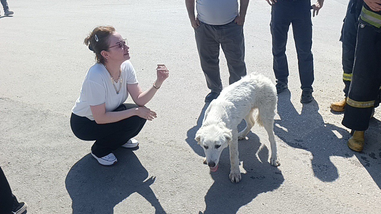 Mahsur kalan köpeğin sesini sadece o duydu, kurtarıldığında gözyaşlarına boğuldu