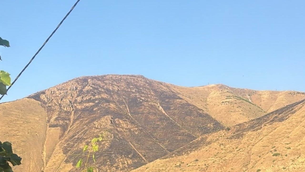 Elazığ’da dağlık alanda çıkan yangın söndürüldü