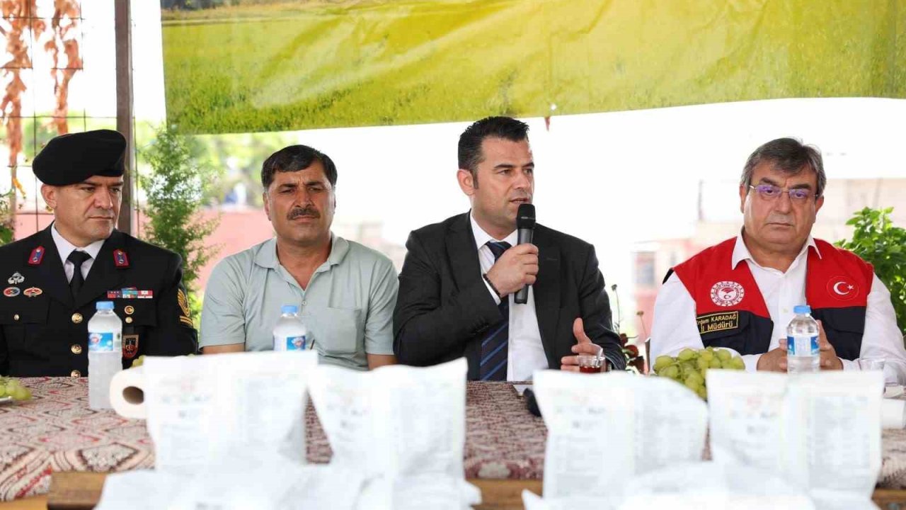 Akdeniz’de meyve sineğiyle mücadeleye ilaç desteği