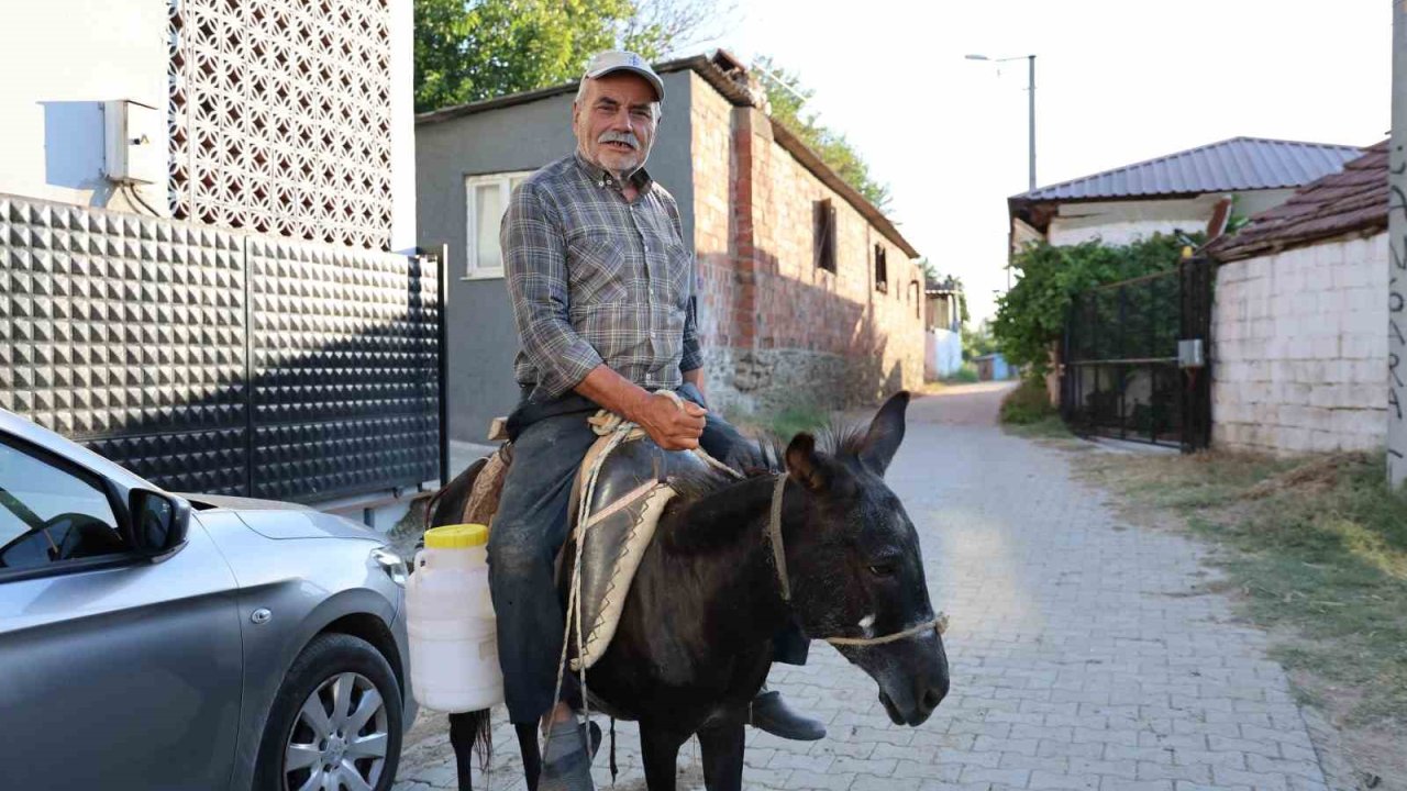 Ayhan amca yokluktan değil, sürücü belgesi olmadığından eşeği ile servis yapıyor