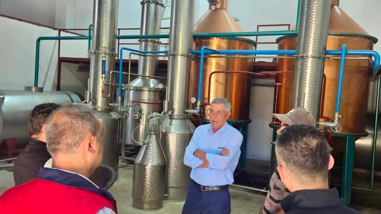 Tıbbi aromatik bitki üretimi için saha çalışmaları sürüyor