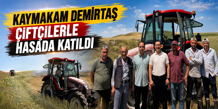 Kaymakam Demirtaş Çiftçilerle Hasada Katıldı
