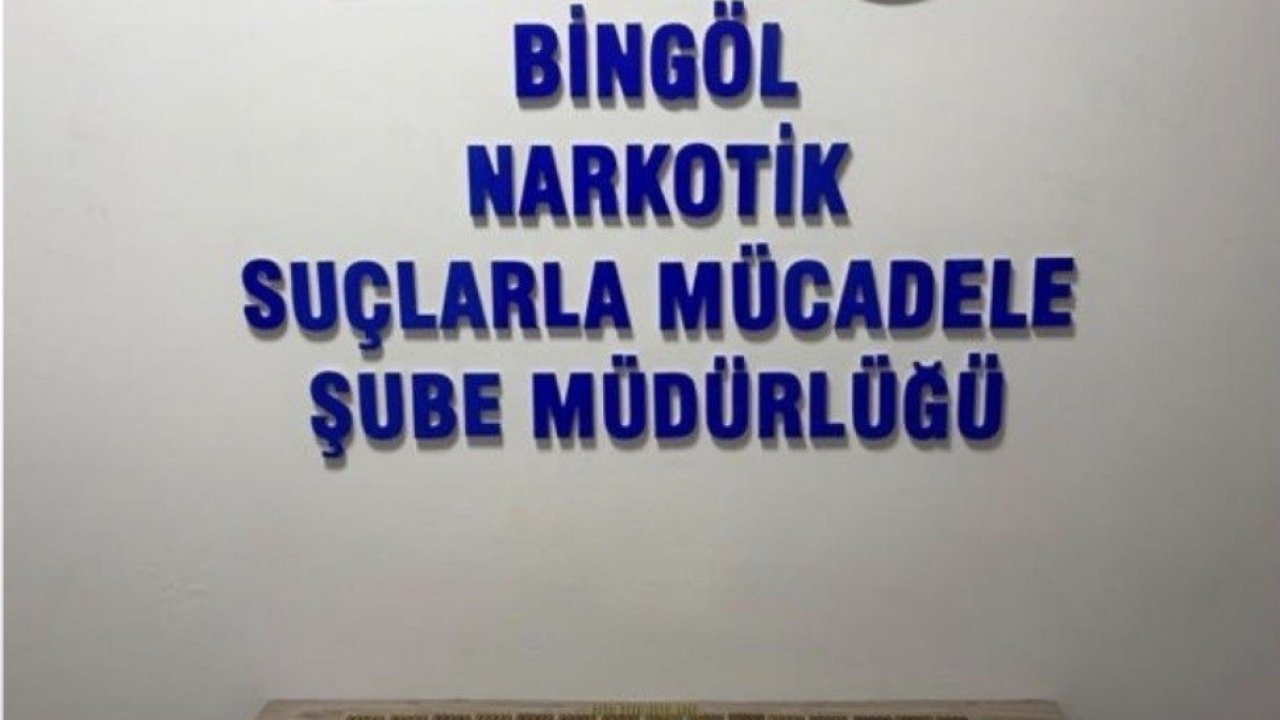 Bingöl’de 600 fişek ele geçirildi: 1 tutuklama