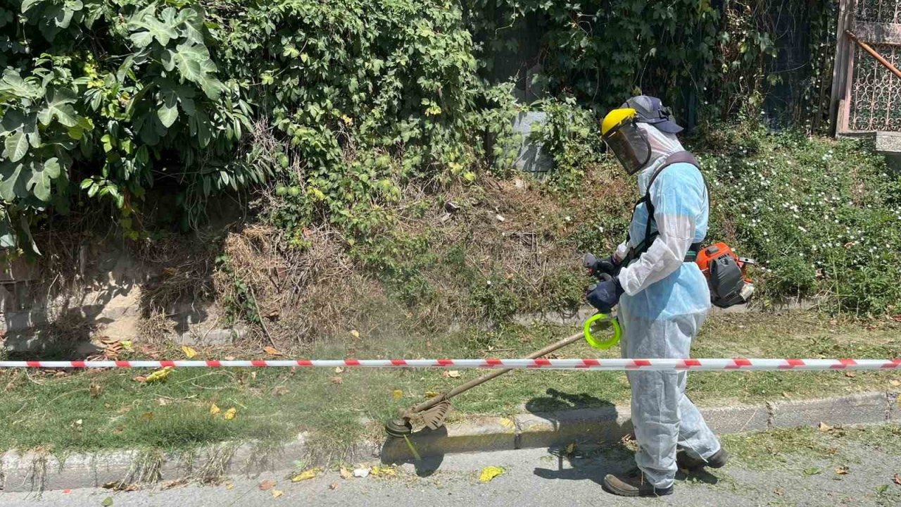 İBB’nin sorumluluğundaki yollarda otlar metrelerce uzadı, temizliği Beykoz Belediyesi yaptı