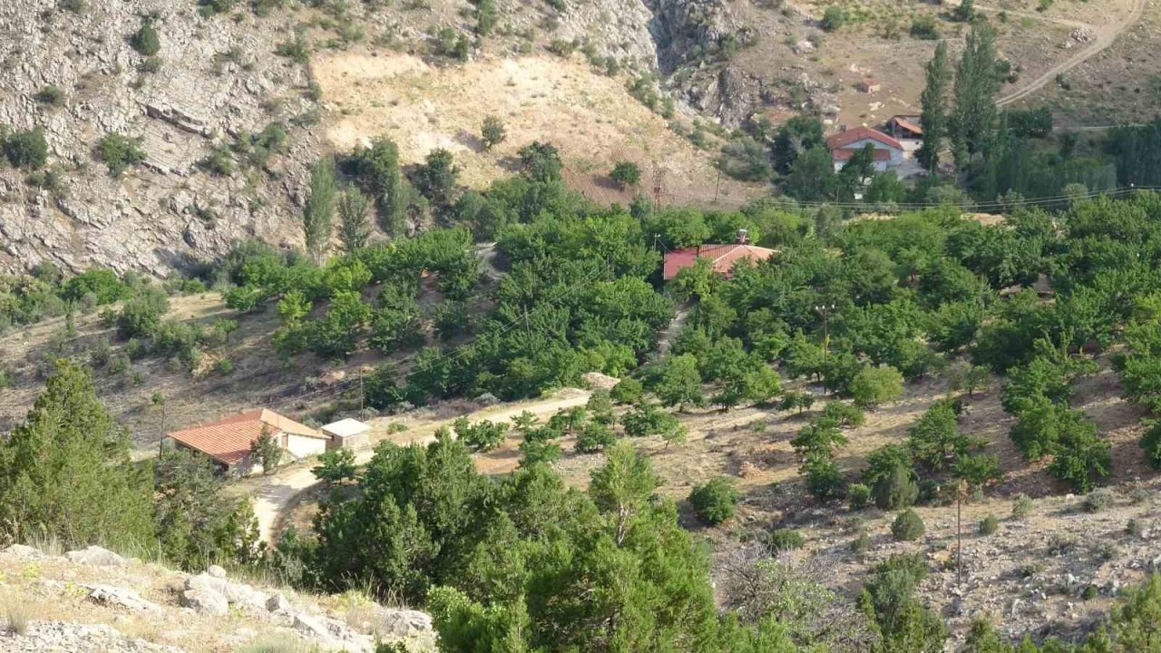 Kayıp kadının cenazesi için  bin 600 rakımlı dağda arama sürüyor