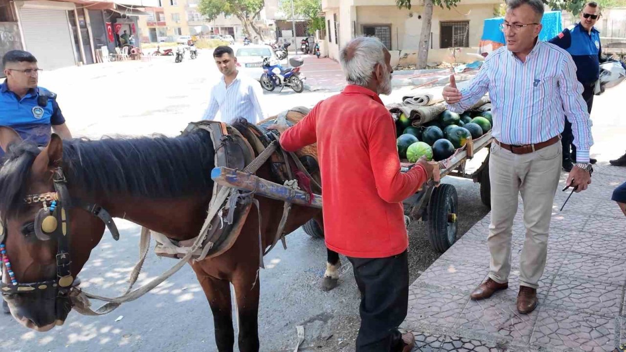 Mersin’de bitkin düşen at yeni yuvasına kavuştu