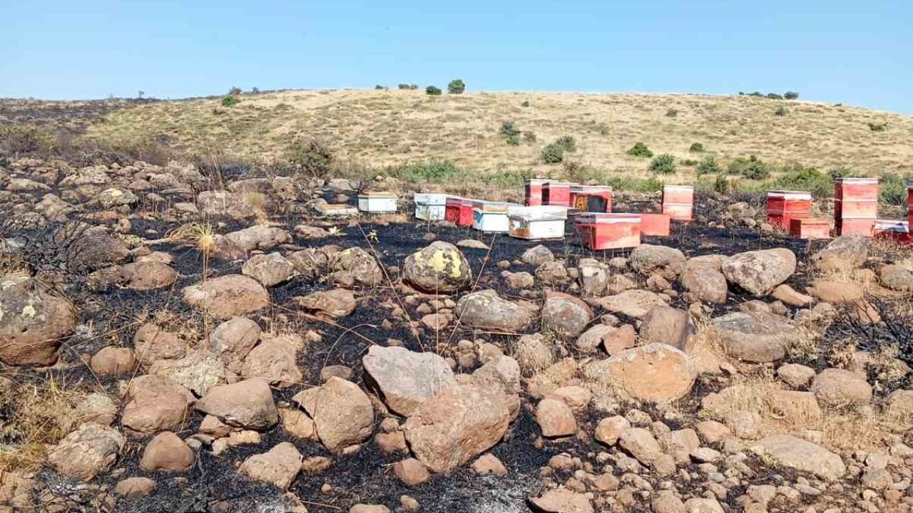 Elazığ’da arazi yangını: Arı kovanları zarar gördü