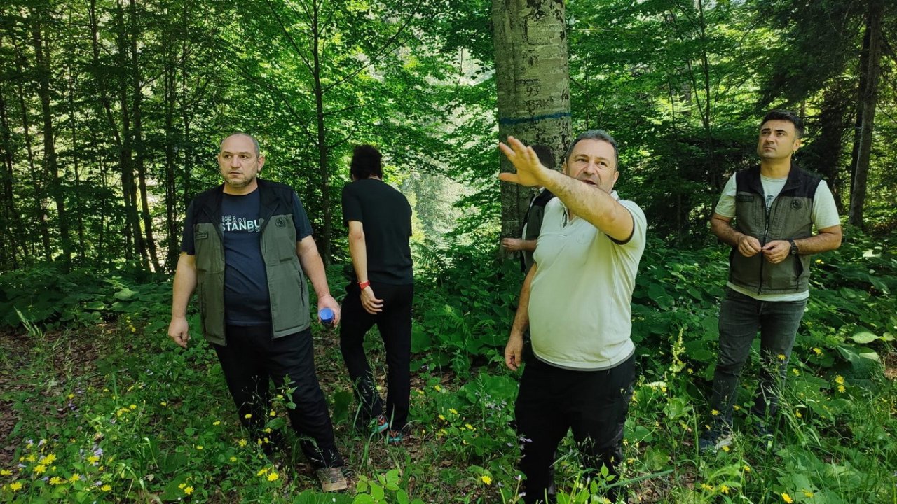 Düzce’de doğal gençleşme