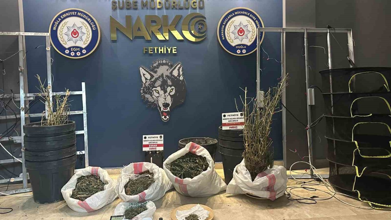 Uyuşturucu operasyonunda bir tutuklama