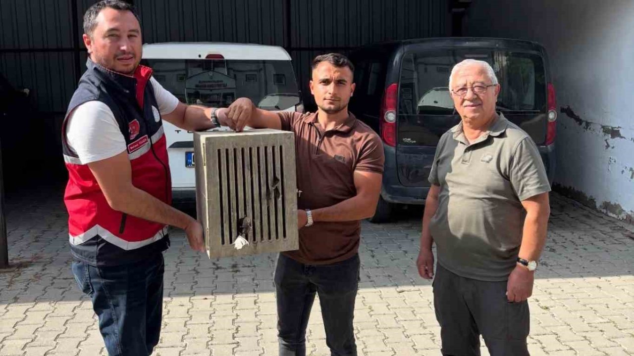 Yaralı halde bulunan leylek, koruma altına alındı