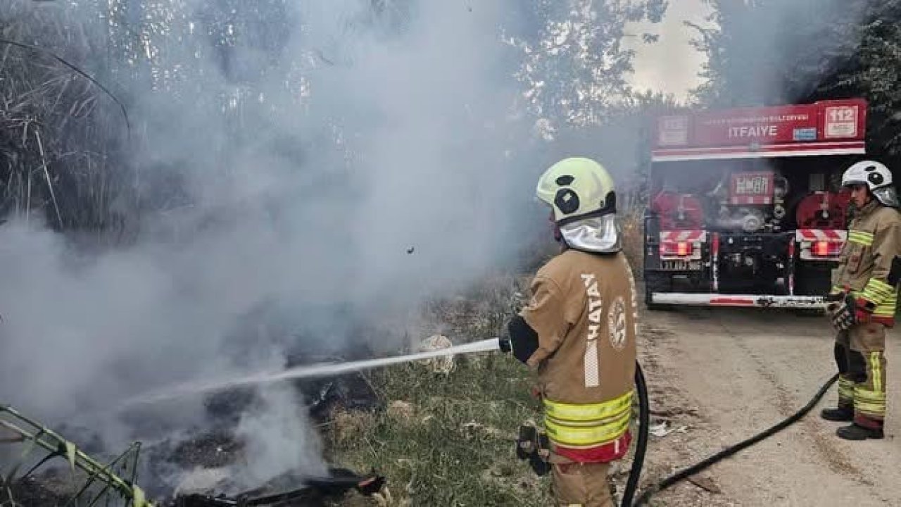 Defne’de sazlık alan yangını büyümeden söndürüldü