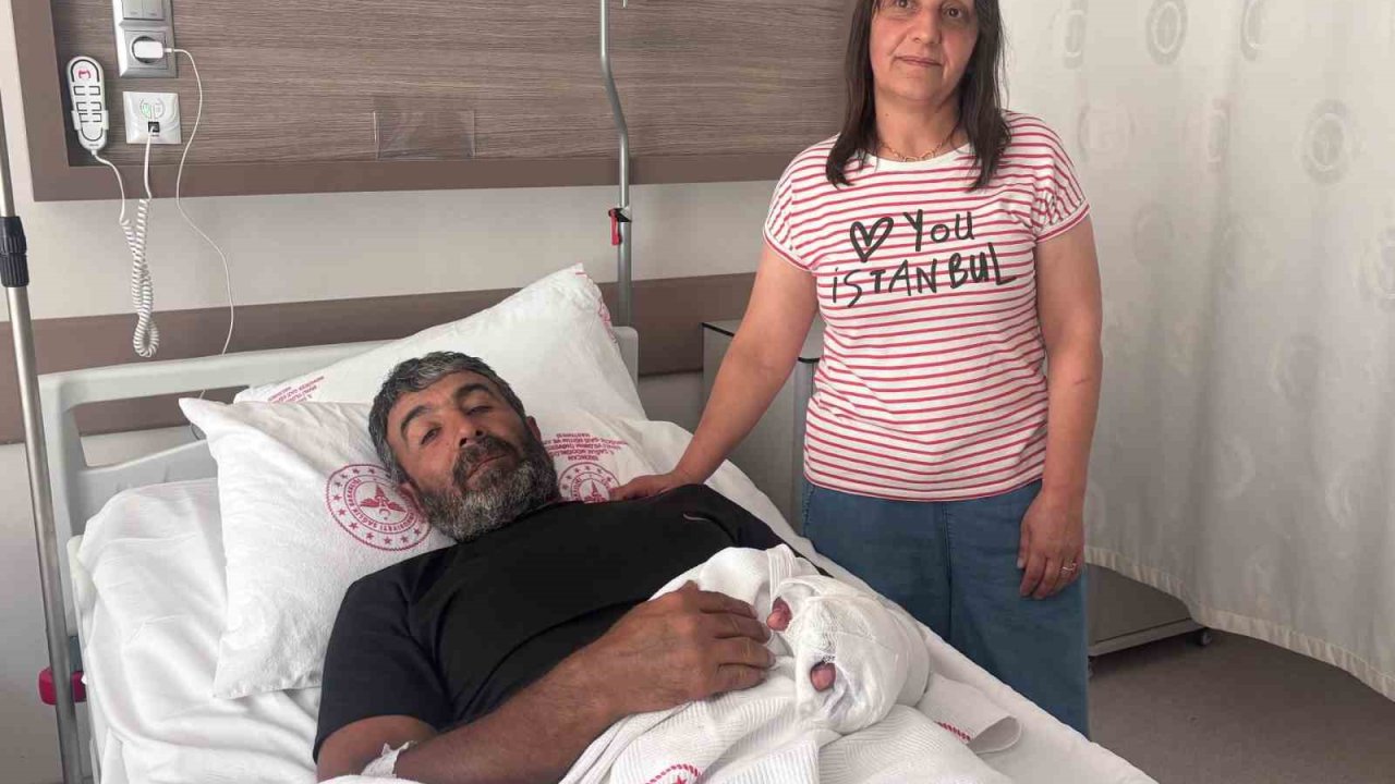 Ayı saldırısından yaralı kurtulan çiftçi yaşadıklarını anlattı: "Kürek olmasaydı sonum ne olurdu bilemedim"