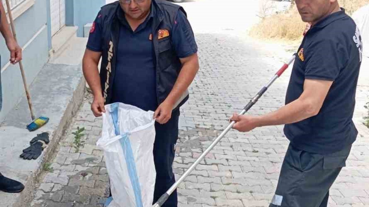 Eve giren yılan paniğe neden oldu