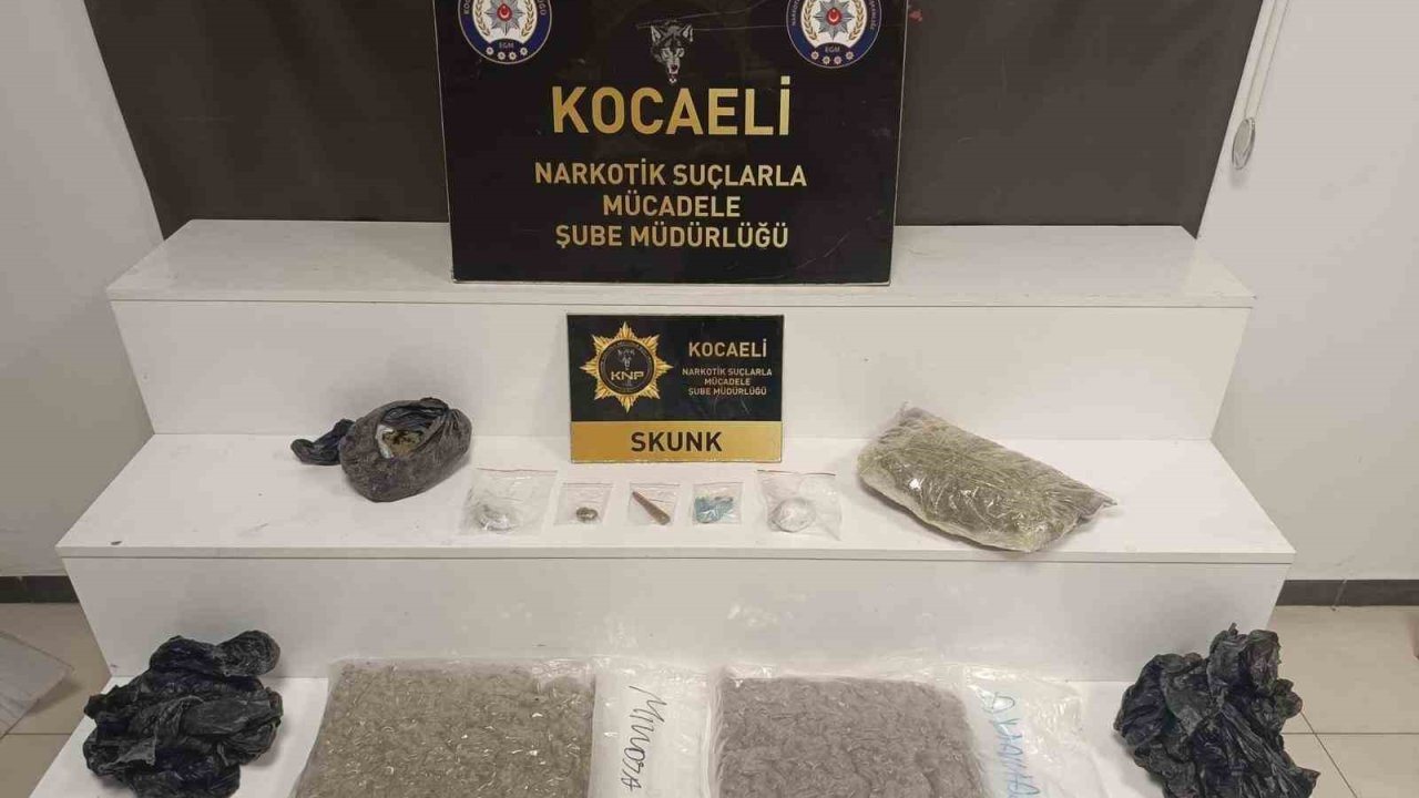 Kocaeli’de kilolarca skunk ele geçirildi