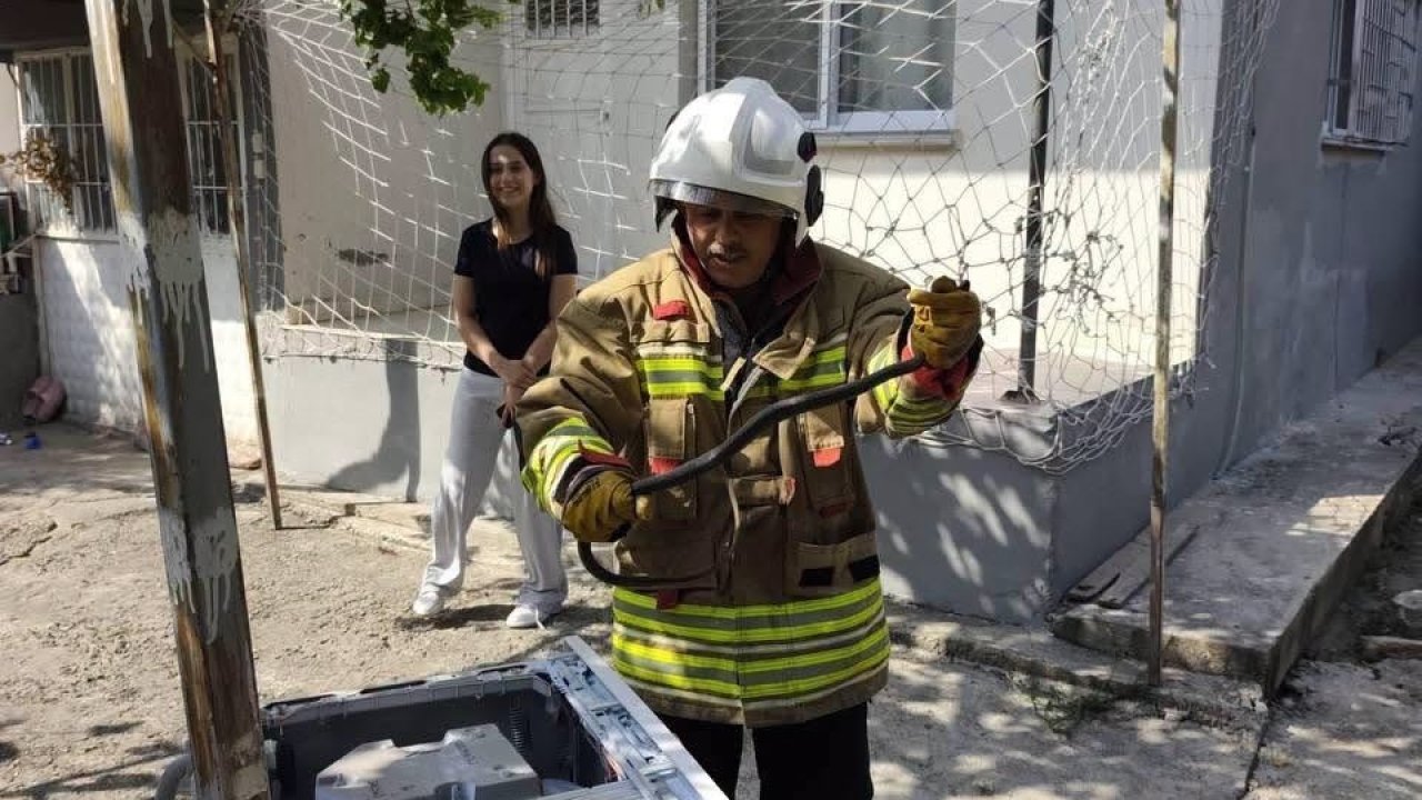 Hassa ve Erzin’de yerleşim alanlarına giren yılanları itfaiye yakaladı