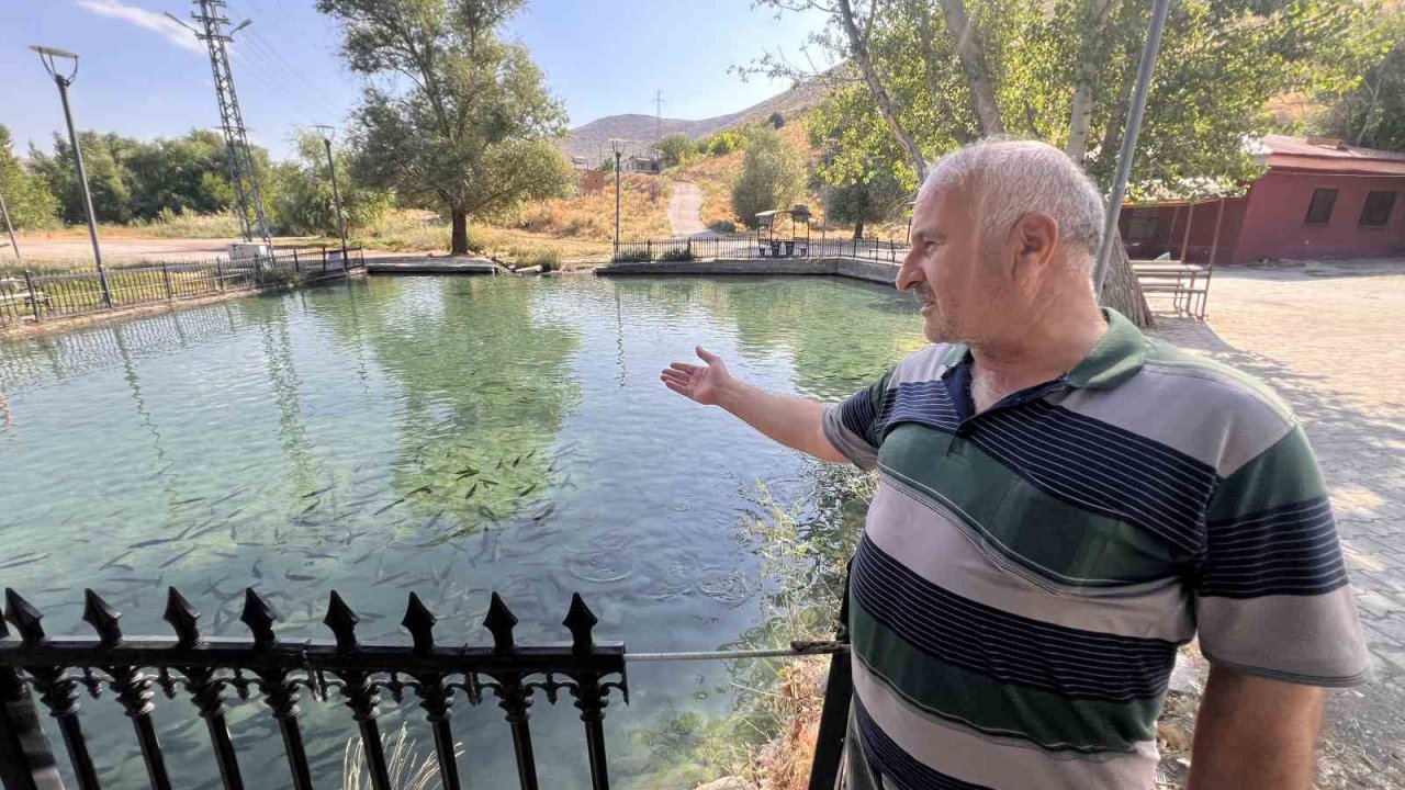 Kahramanmaraş’taki Balıklı Göl, berrak suyu ve balıklarıyla ziyaretçilerini ağırlıyor