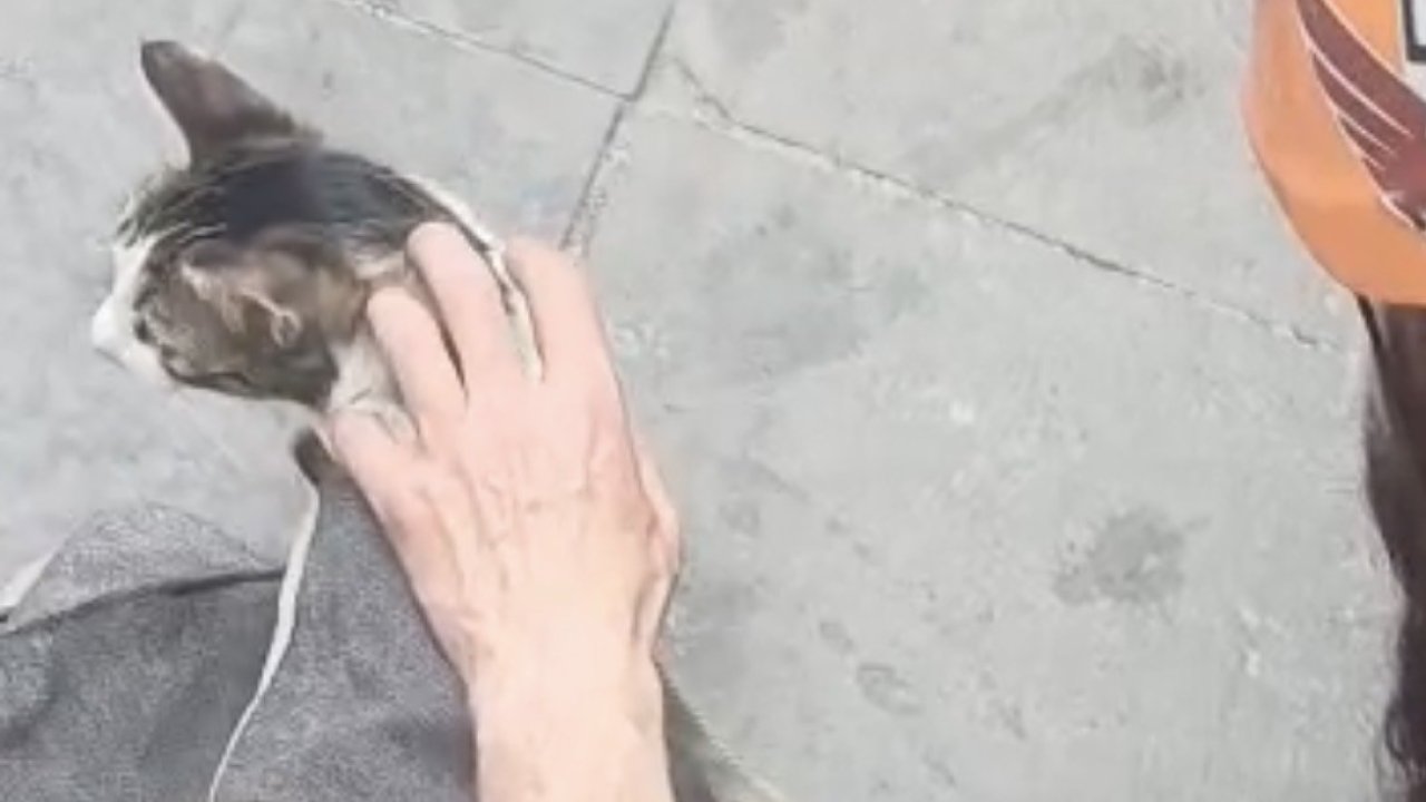 Dar alanda sıkışan kediyi DAK ekipleri kurtardı
