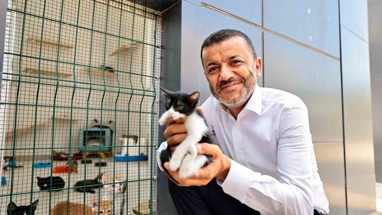 Denizli Büyükşehir’den can dostlarına şefkat eli