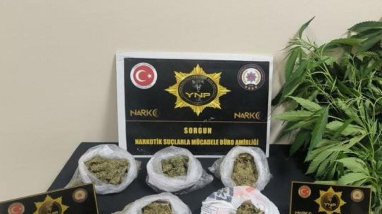 Yozgat’ta 257 gram esrar ve 13 kök Hint keneviri ele geçirildi