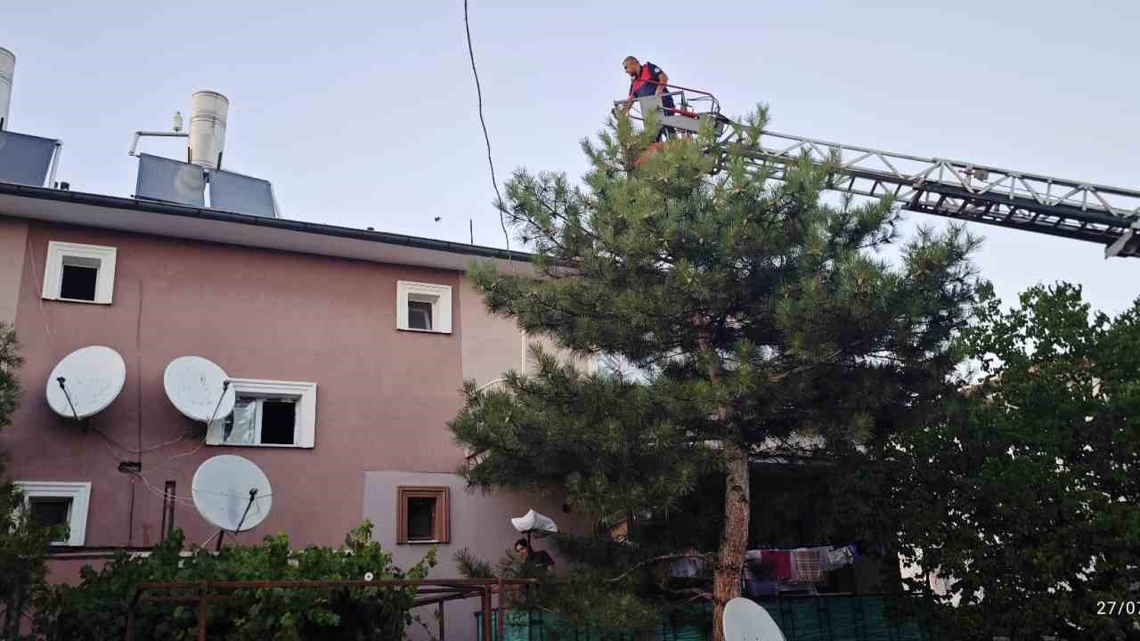 Apartman çatısında mahsur kalan kedi itfaiye ekiplerince kurtarıldı
