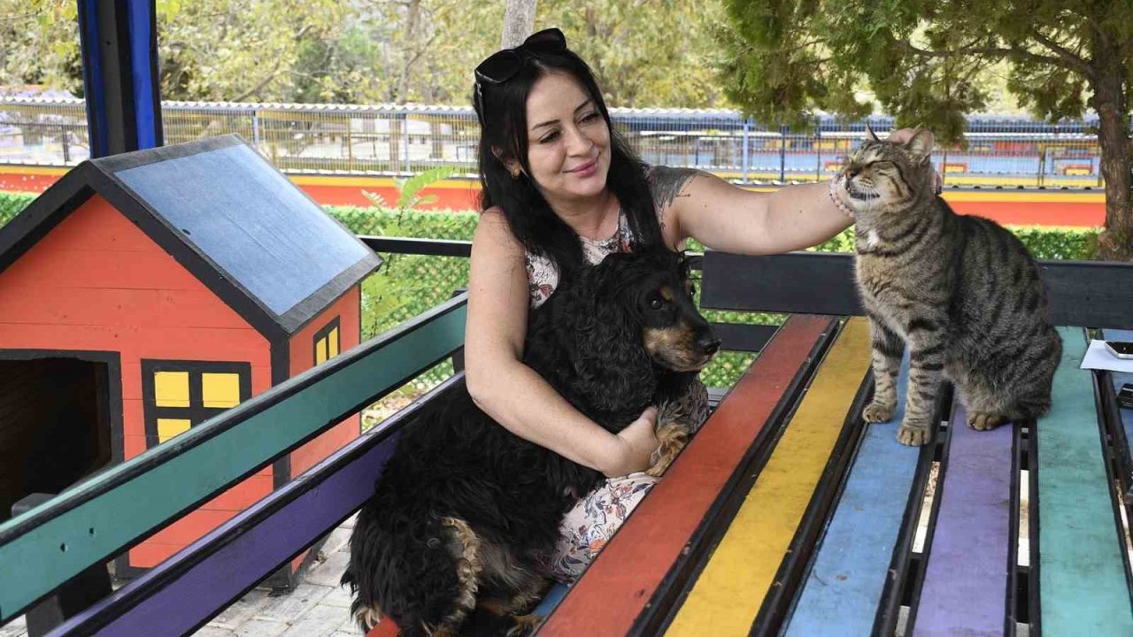 Kuşadası Belediyesi 3 bin 518 sokak hayvanını ömürlük yuvasına kavuşturdu