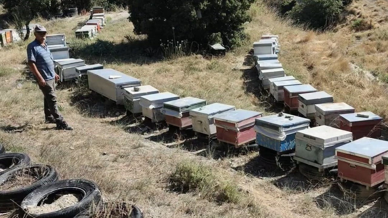 Burdur’da arılı kovanlar denetleniyor