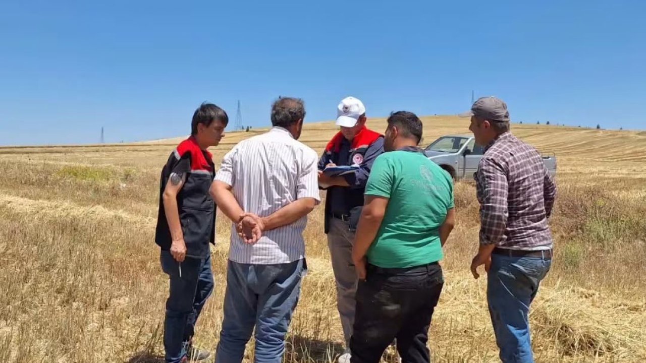 Burdur’da biçerdöverler denetleniyor