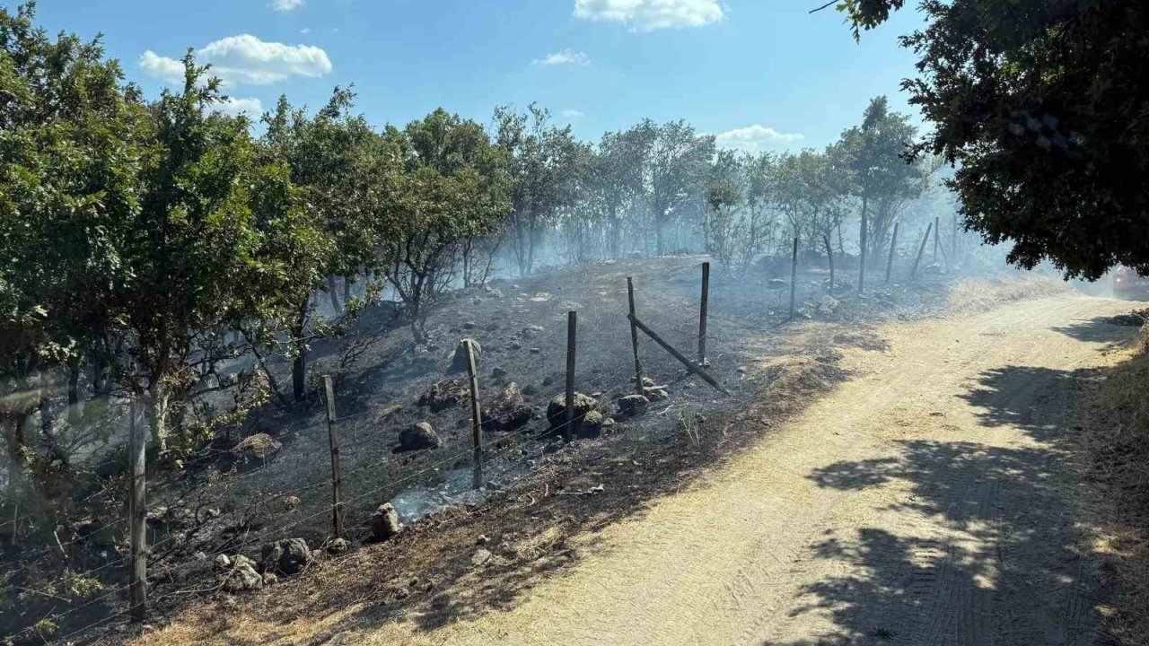 Çanakkale’de tarım arazisinde çıkan yangın kontrol altına alındı