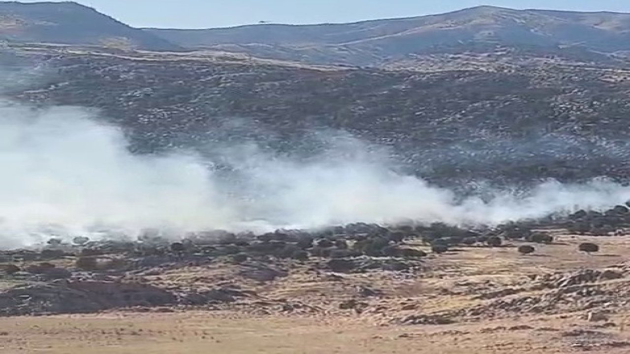 Adıyaman’da ormanlık alanda yangın