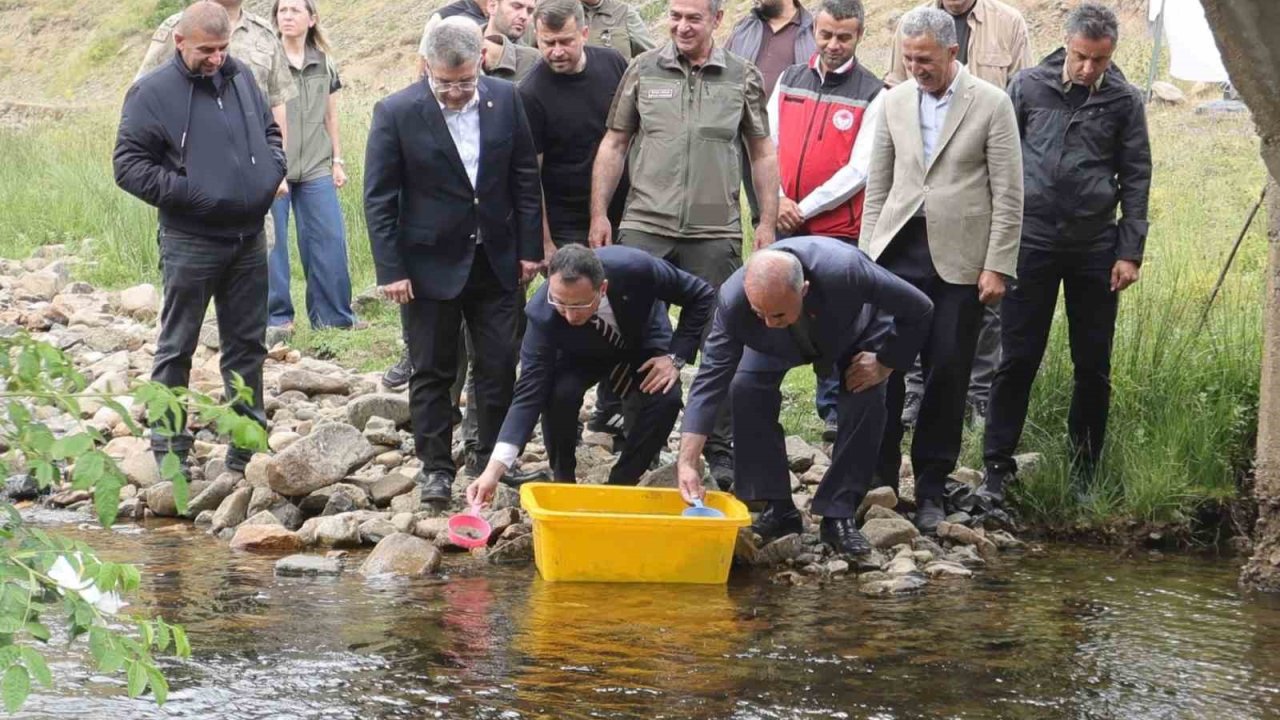 Ordu’da 35 bin doğal alabalık dereye bırakıldı