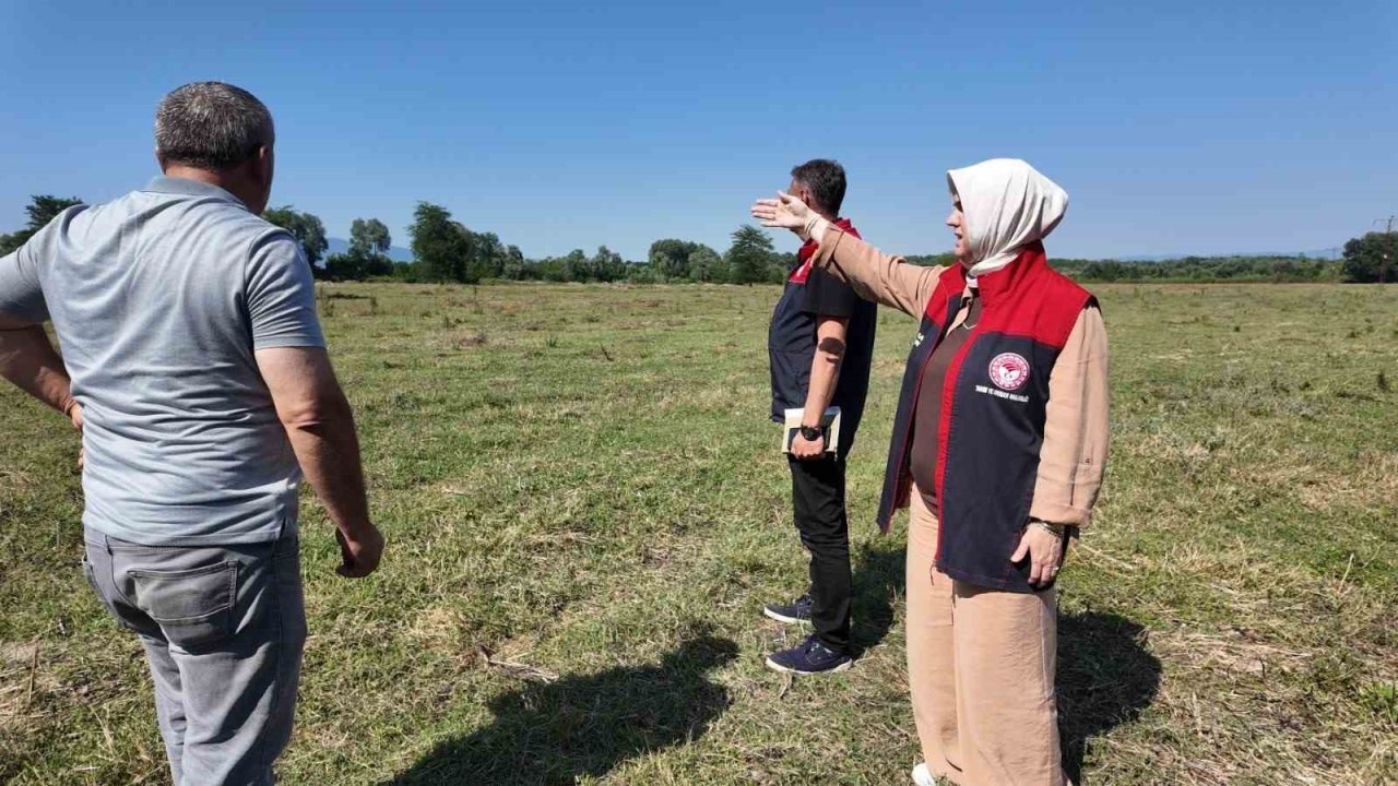 Düzce’de 400 mera ıslah çalışması tamamlandı