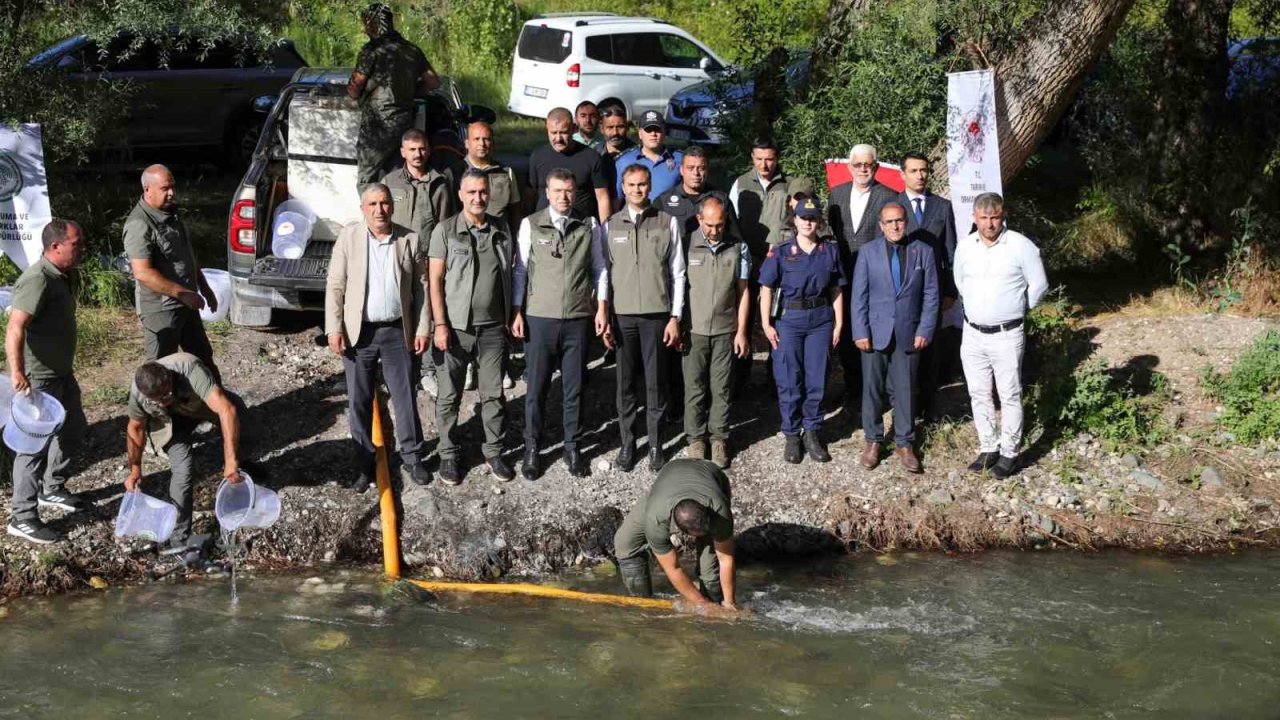 Ecemiş Çayı’na 15 bin alabalık yavrusu bırakıldı