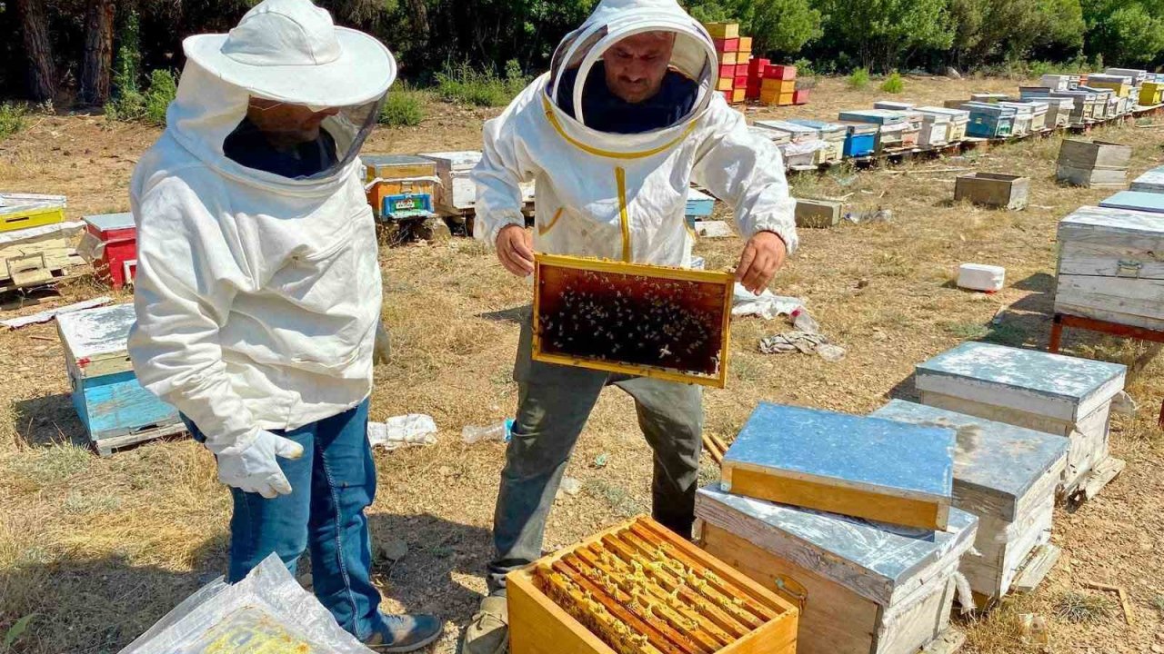 Arılı kovan desteği için işletme denetimleri sürüyor