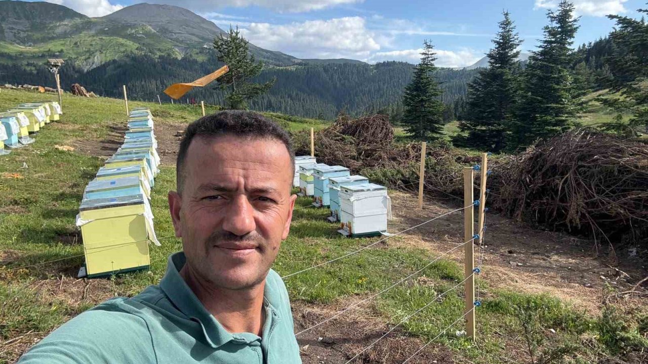 Koruma altındaki gelincik Ilgaz Dağı’nda görüntülendi
