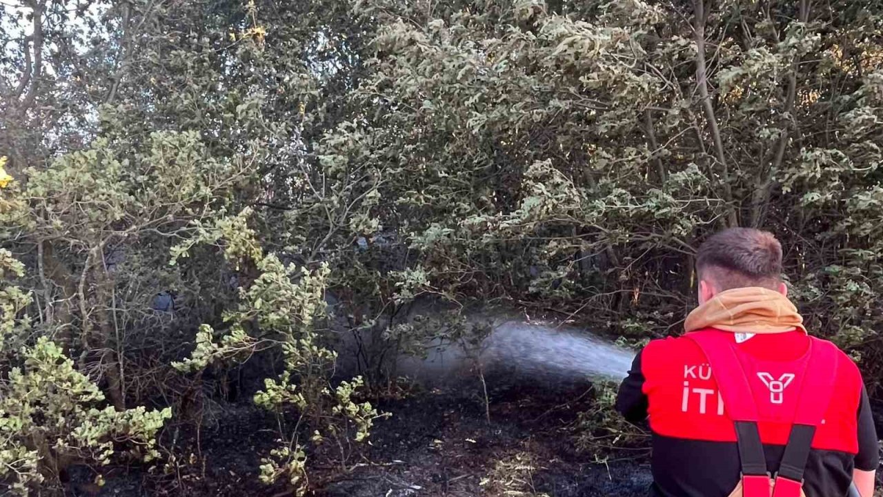 Kütahya OSB İtfaiyesi, Beşkarış ve Aydınlar köyü yangınlarında görev aldı