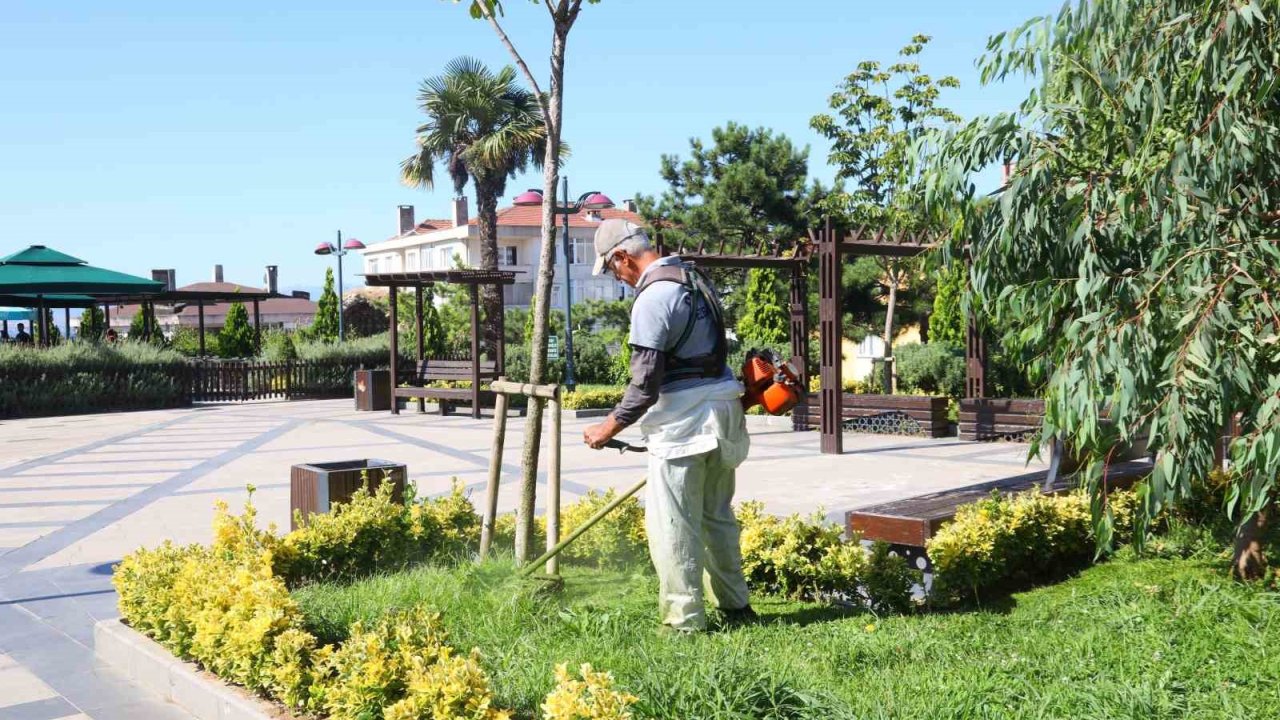 Darıca’da cadde ve sokaklar baştan aşağı temizleniyor