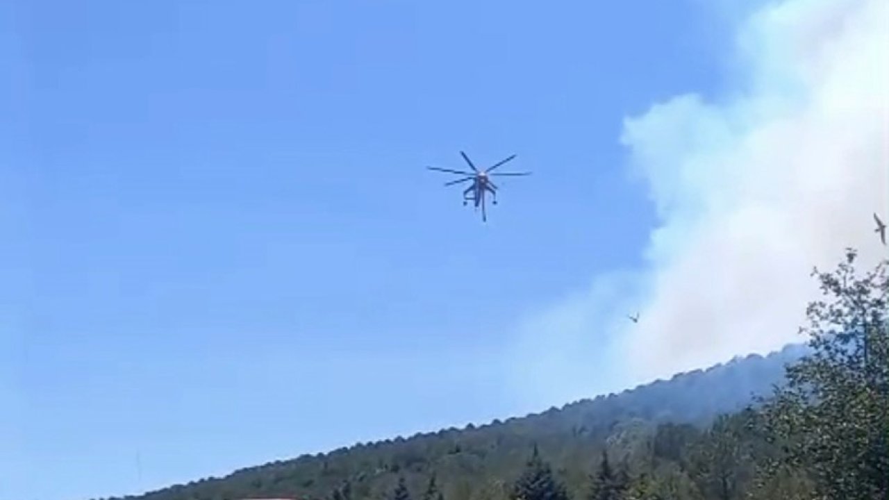 Balıkesir’de bir orman yangını daha