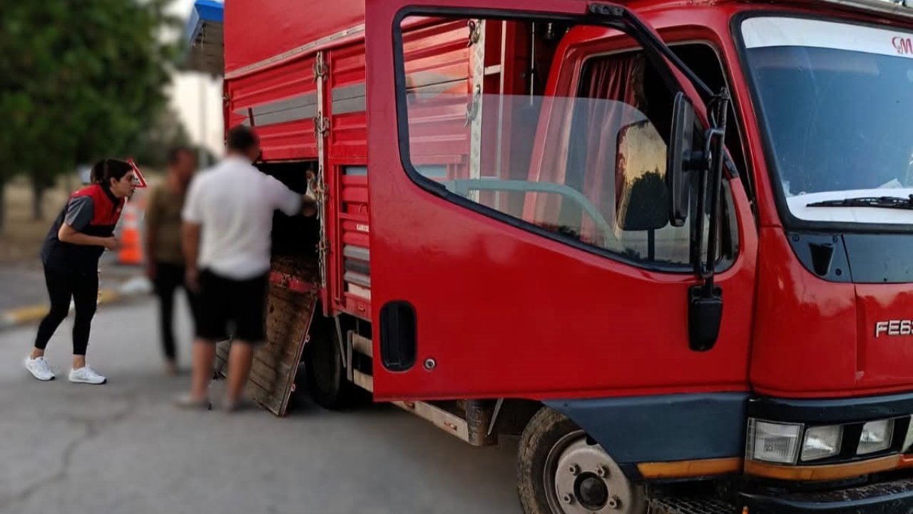 Kaçak hayvan sevkine 175 bin lira ceza