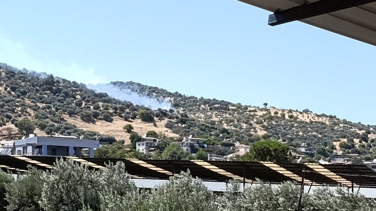 Bozdoğan’daki zirai alan yangını kontrol altına alındı
