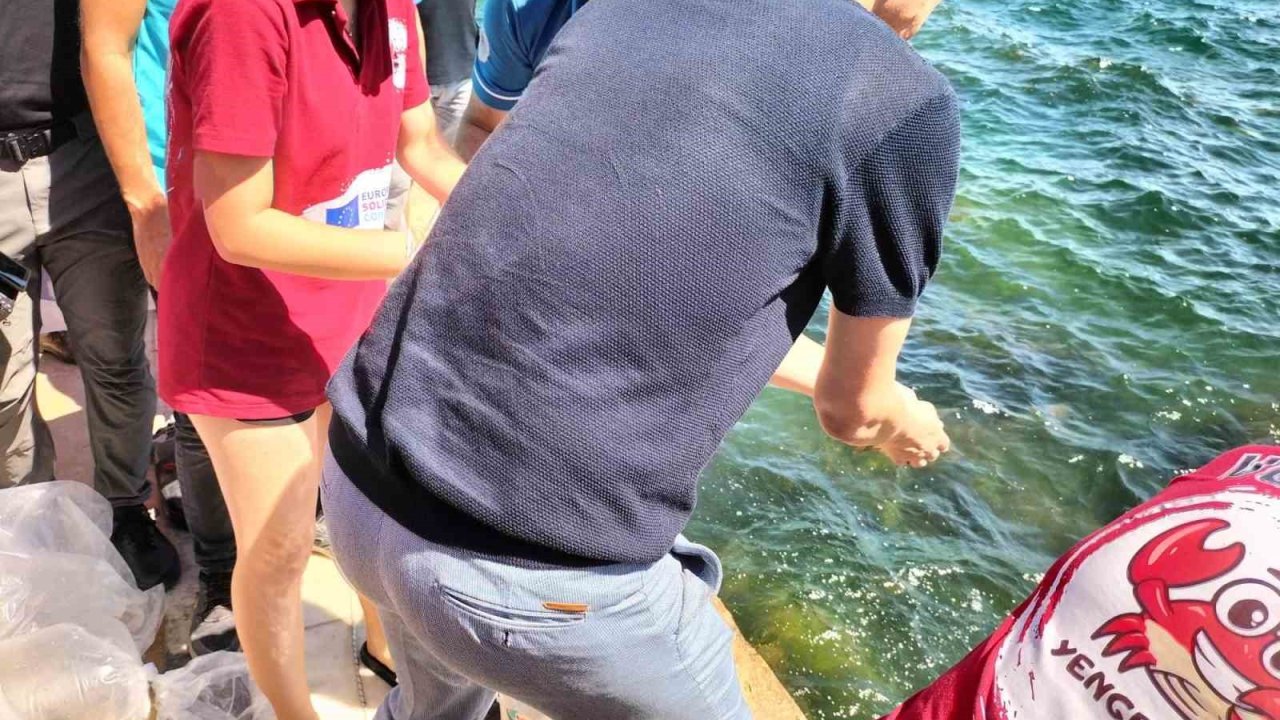 Köyceğiz Gölü’ne yavru balık bırakıldı
