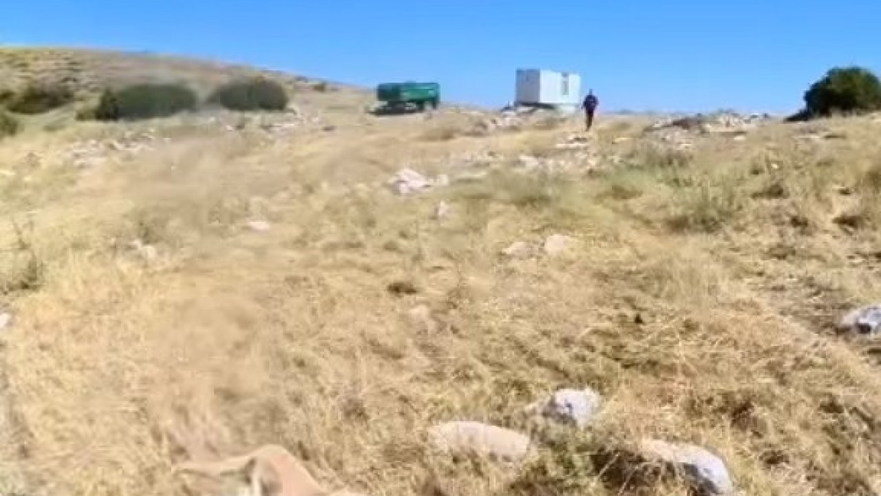 Aladağlar’da BASE Jump sporcusuna çoban köpekleri saldırdı