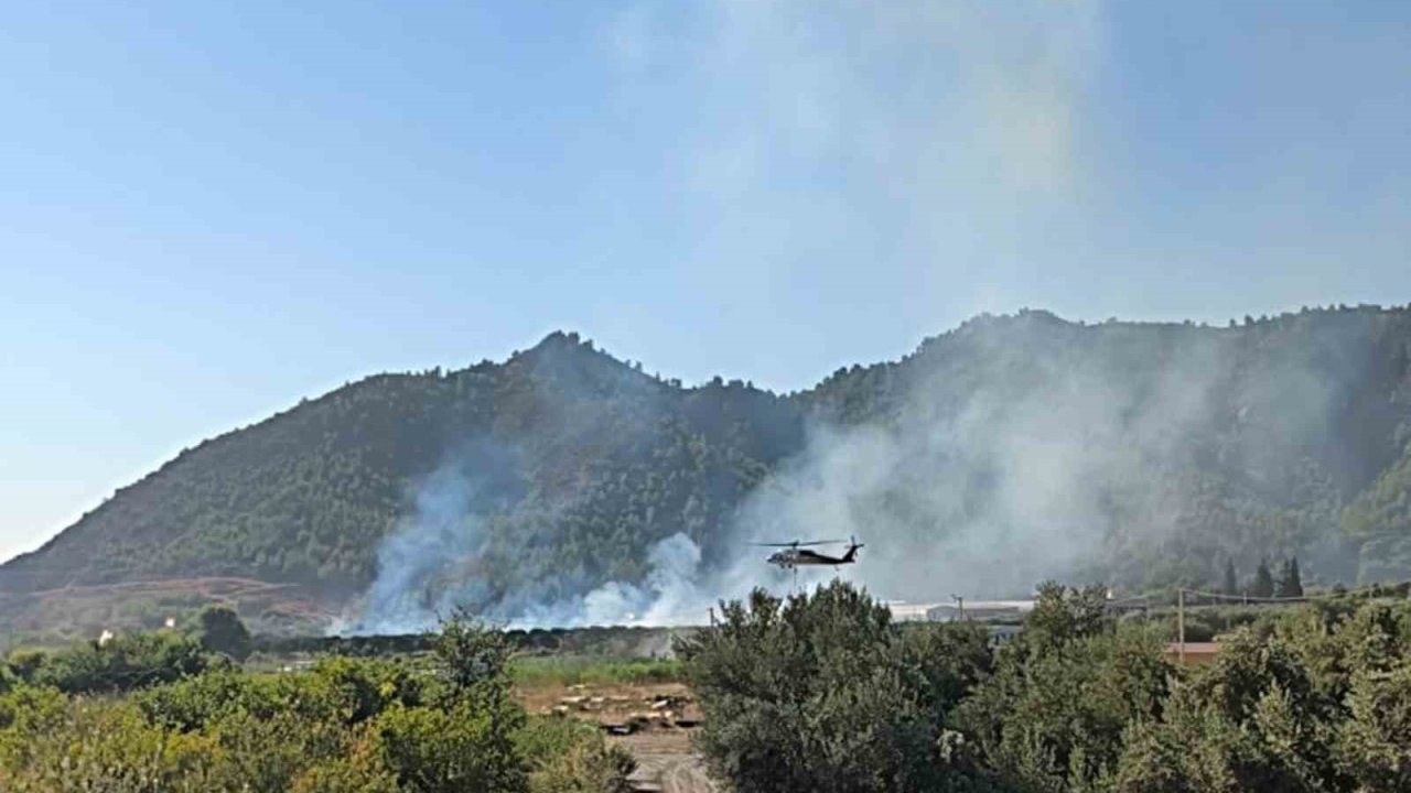 Dalaman’da tarım alanındaki yangın kısa sürede söndürüldü