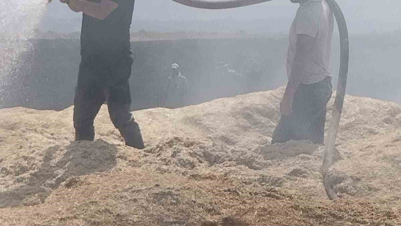 Bingöl’de arazi yangını: 2 bin dönüm arazi zarar gördü