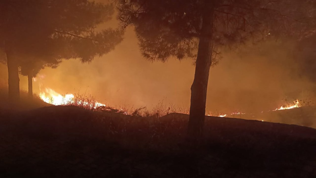 Siirt’te mezarlıkta çıkan yangın itfaiye ekiplerince söndürüldü
